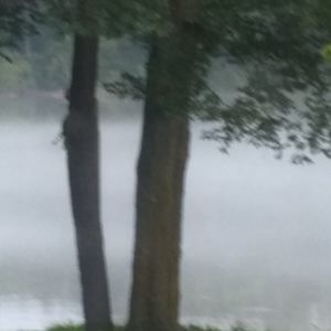 Meet your Posher, Bobbi